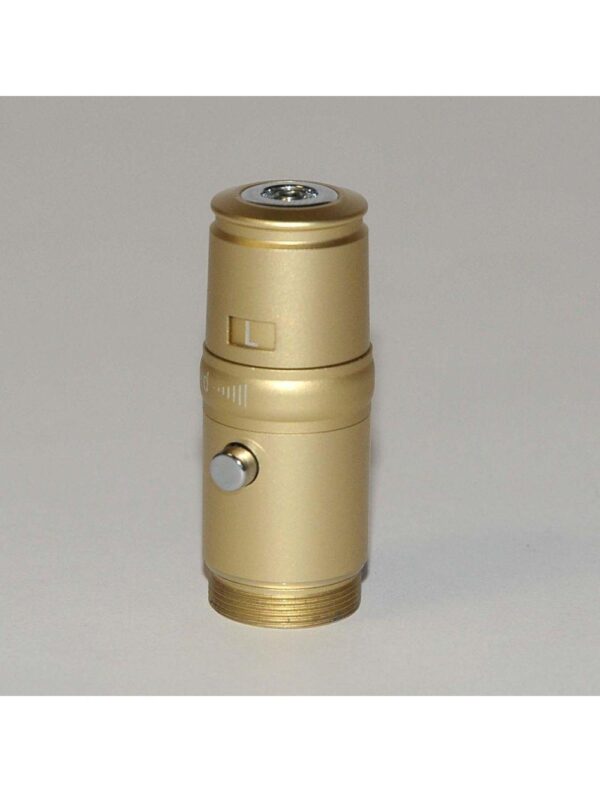 Gold Adjustable Power Adapter SKINSTYLUS Microneedle Corded 5-Pin Model Round