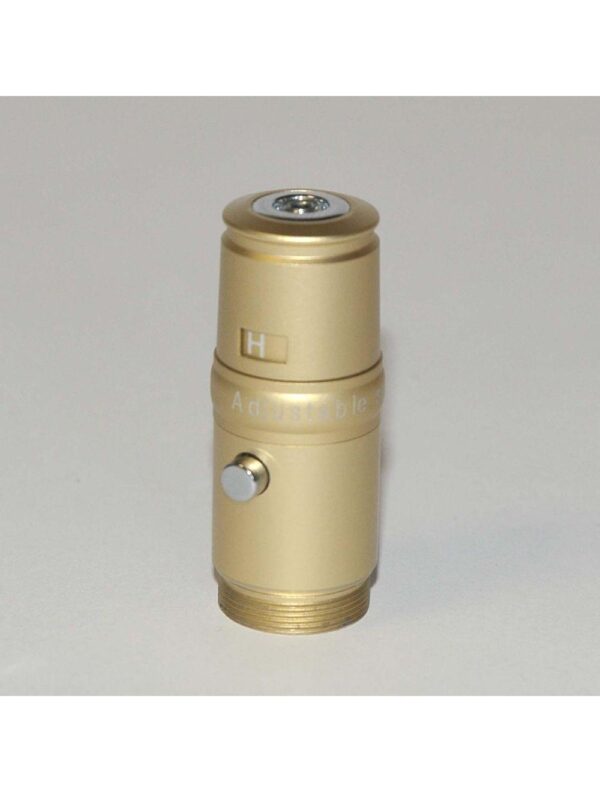 Gold Adjustable Power Adapter SKINSTYLUS Microneedle Corded 5-Pin Model Round