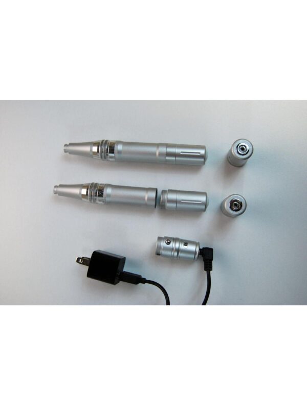 Demo Skin Stylus Silver Microtherapy Professional Kit