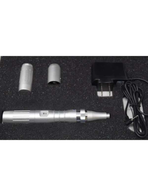 Silver Eclipse MicroPen Elite Aesthetics Kit MicroNeedling Pen Micro Needle DEMO