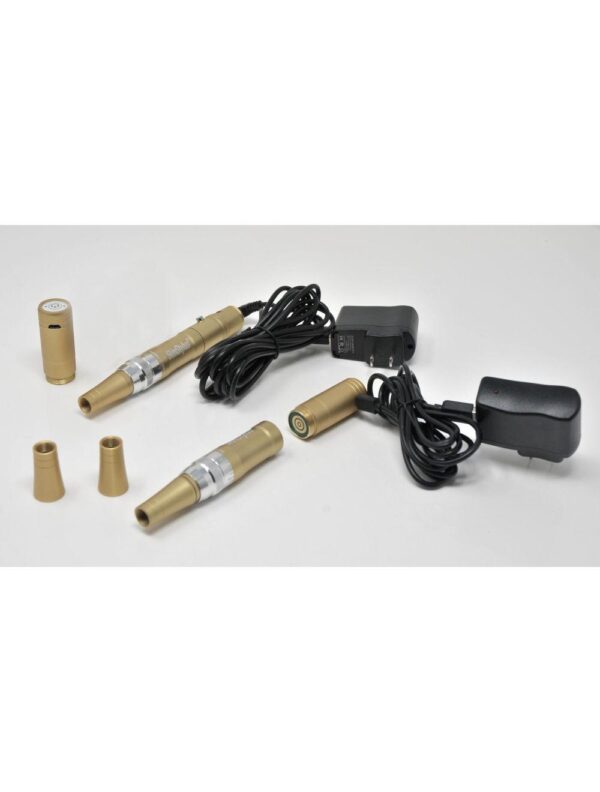 2 Gold Pens SkinStylus Microneedling Professional Kit Beautiful Skin Stylus DEMO