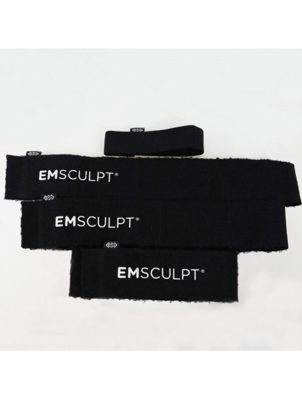 2019 BTL EmSculpt Non Invasive Body Sculpting System With Large and Small Paddles