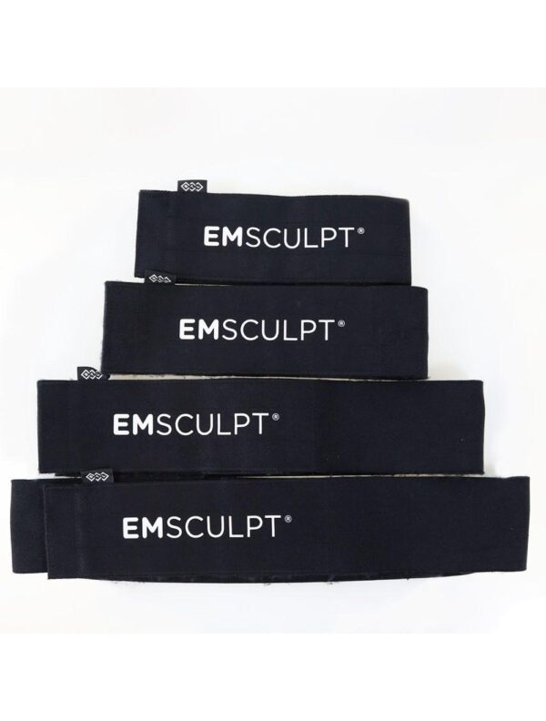 2020 BTL EmSculpt Body Sculpting With Emsella Electromagnetic Incontinence System
